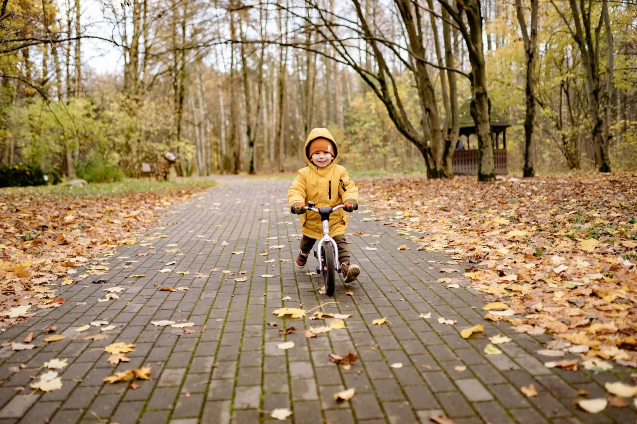 Balance Bike: The Complete Guide