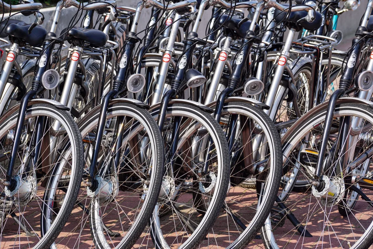 Best Bikes in 2026: Picks by Budget