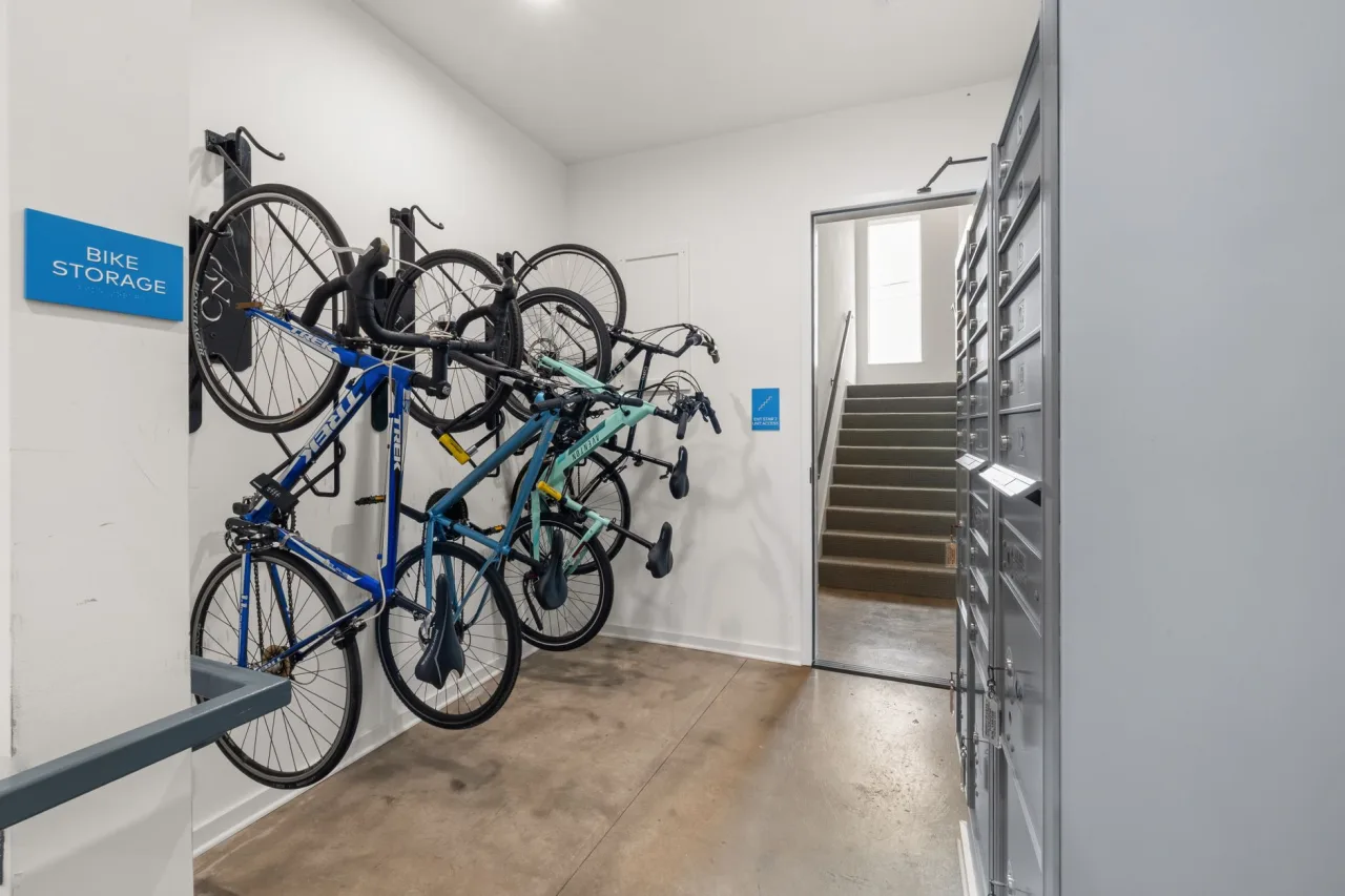 Bike Racks: The Complete Guide
