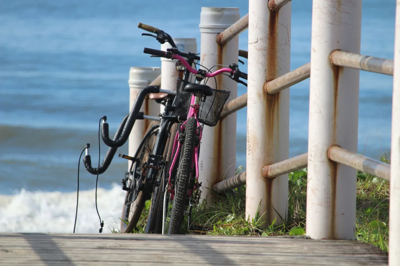 Bike: The Complete Guide