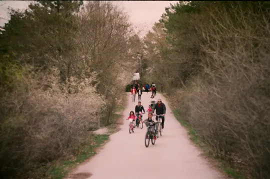 Bike Trail Near Me