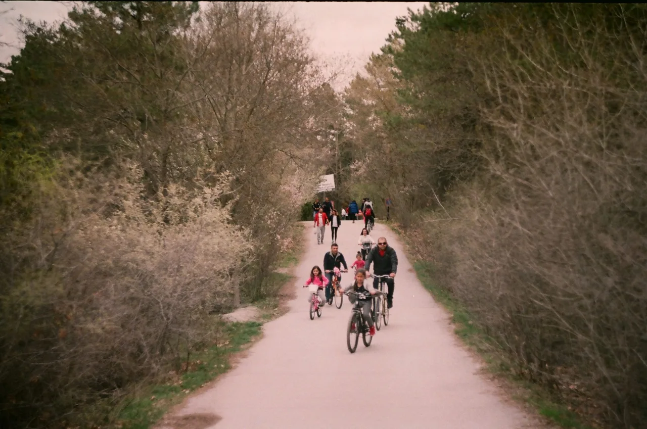 Bike Trail Near Me