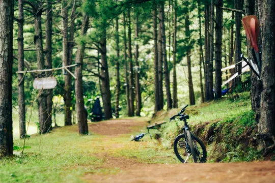 Bike Trail: The Complete Guide