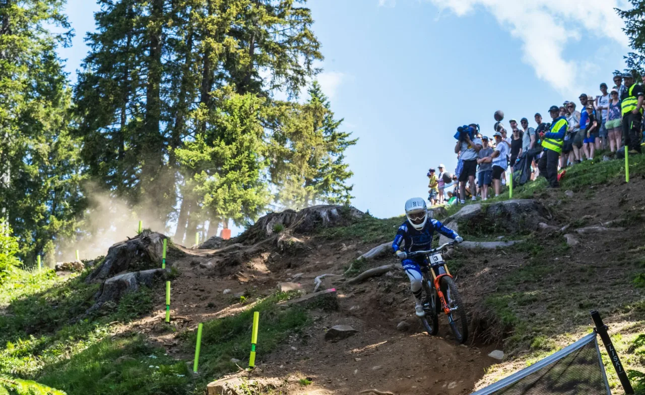 Downhill Bikes