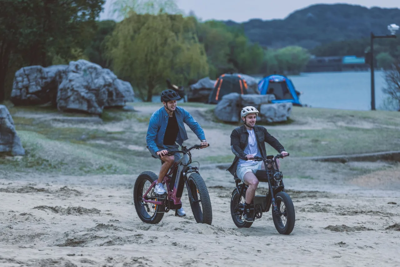 Electric Bike for Adults: Guide
