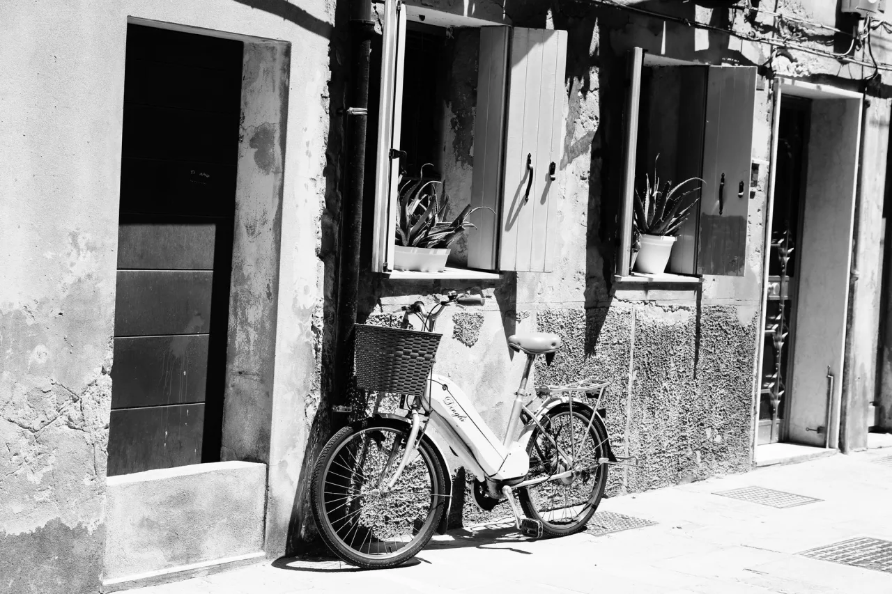 Electric Bike Shop Near Me: How to Search