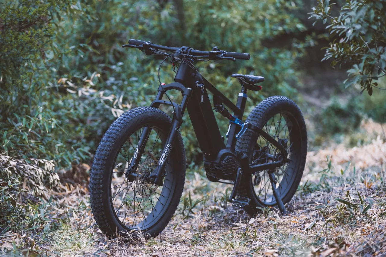 Electric Mountain Bike Guide