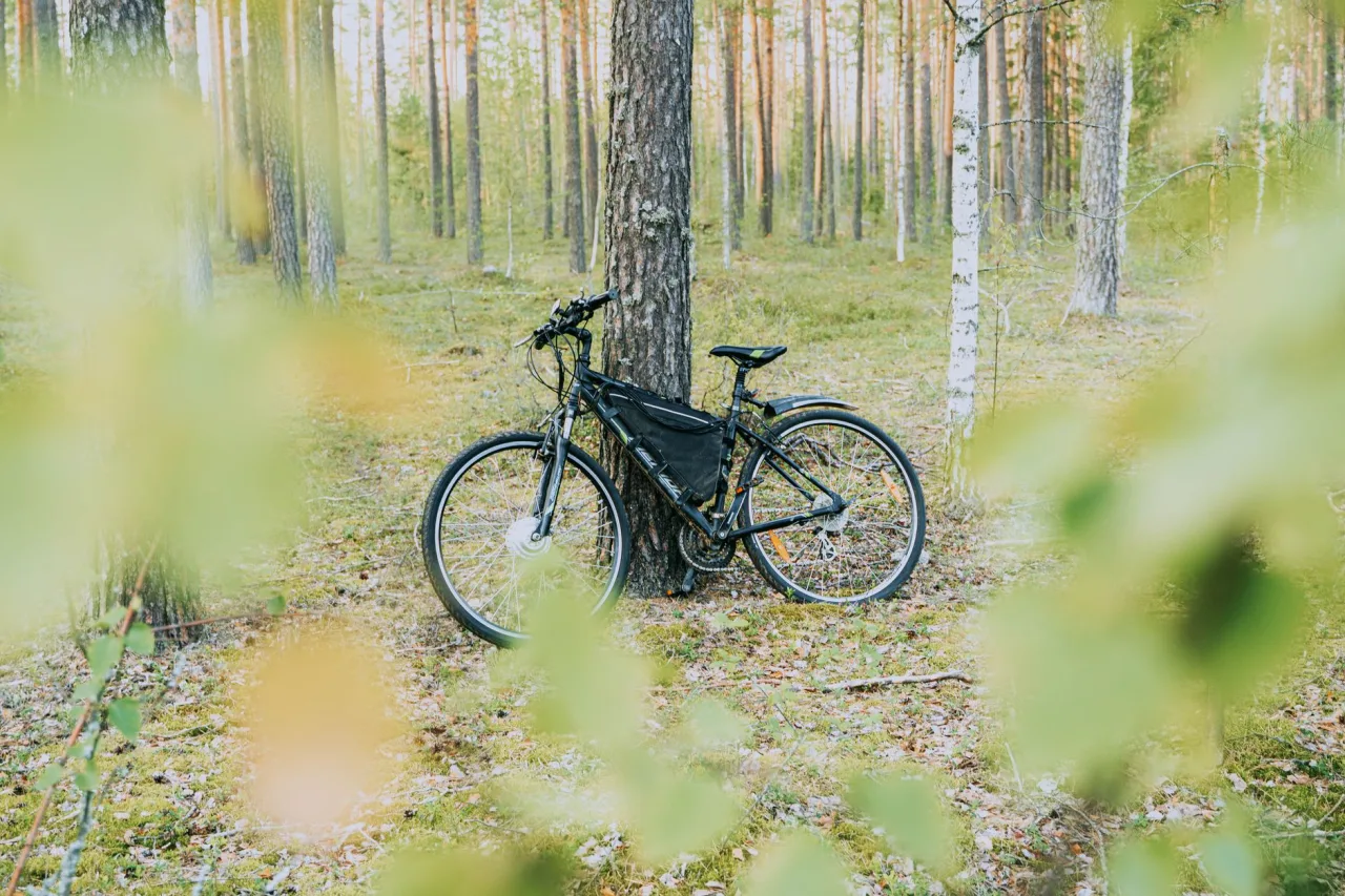 Electric Road Bike: The Complete Guide
