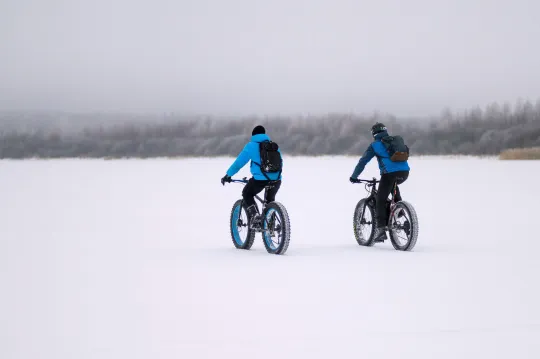 Fat Bike: The Complete Guide