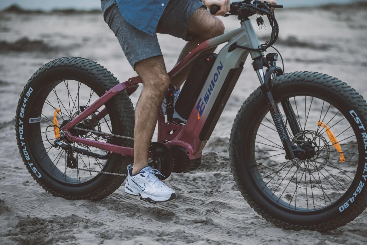 Fat Tire Bike