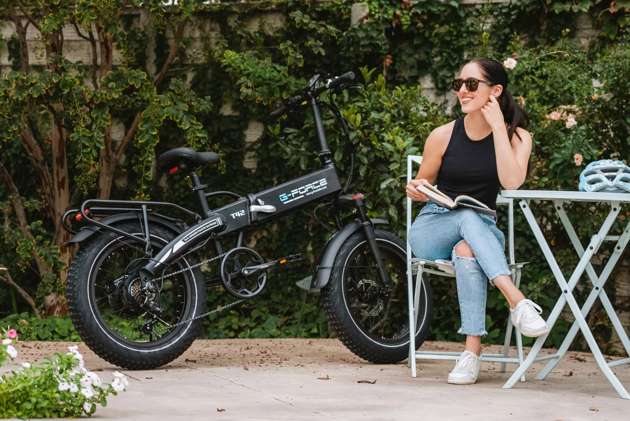 Folding Electric Bike Guide