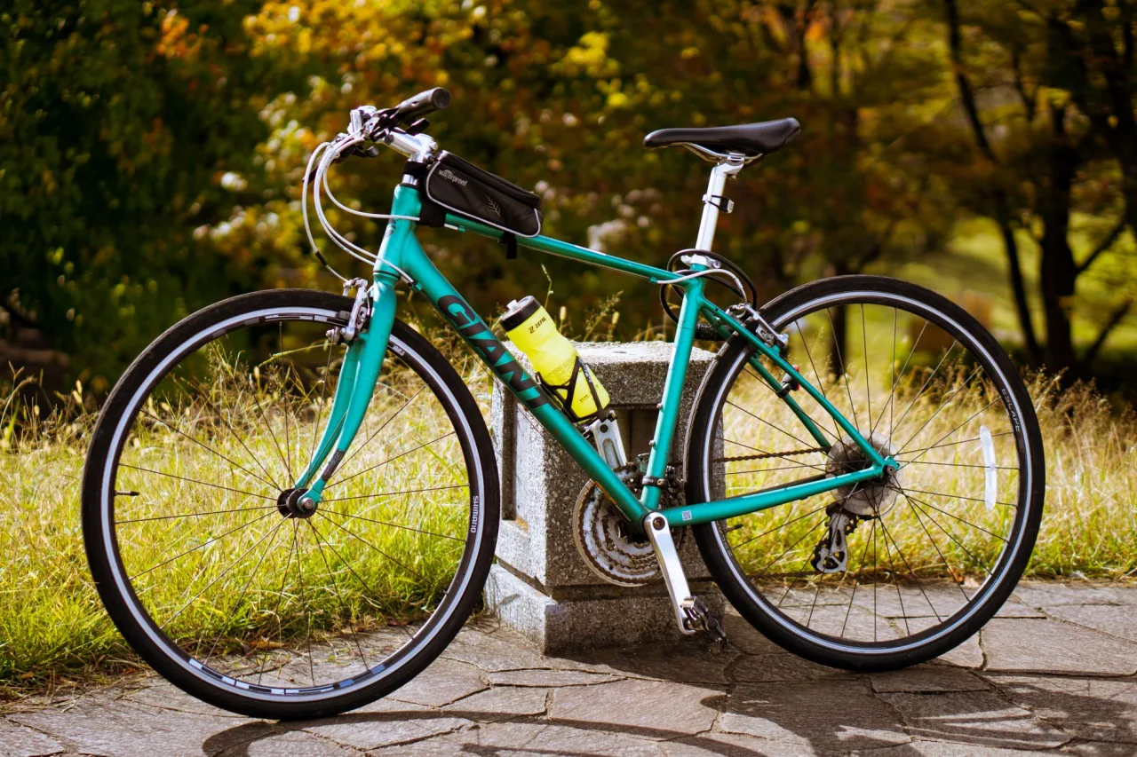 Giant E-Bike: The Complete Guide