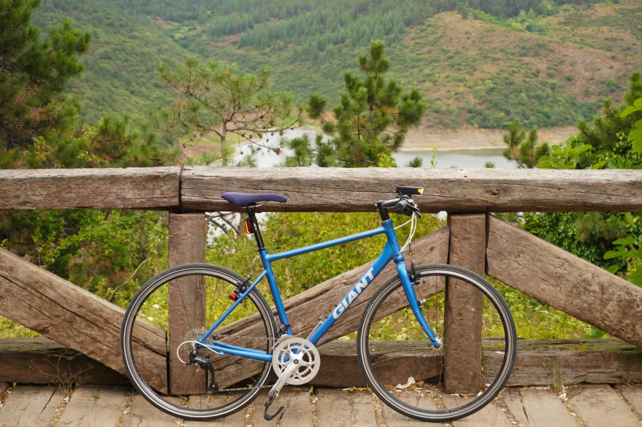 Giant E-Bike: The Complete Guide