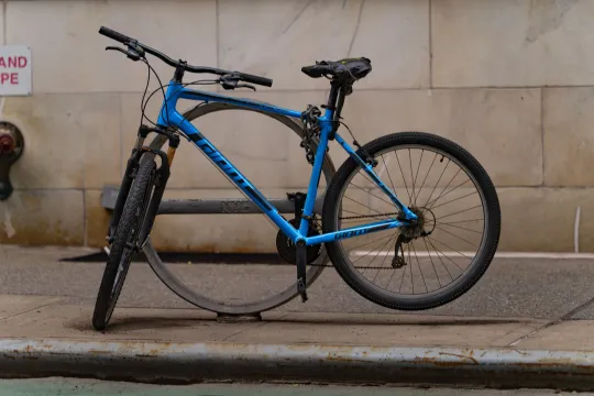 Giant Road Bike: Review & Prices
