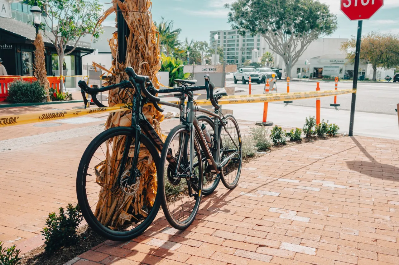 Giant Road Bike: Review & Prices