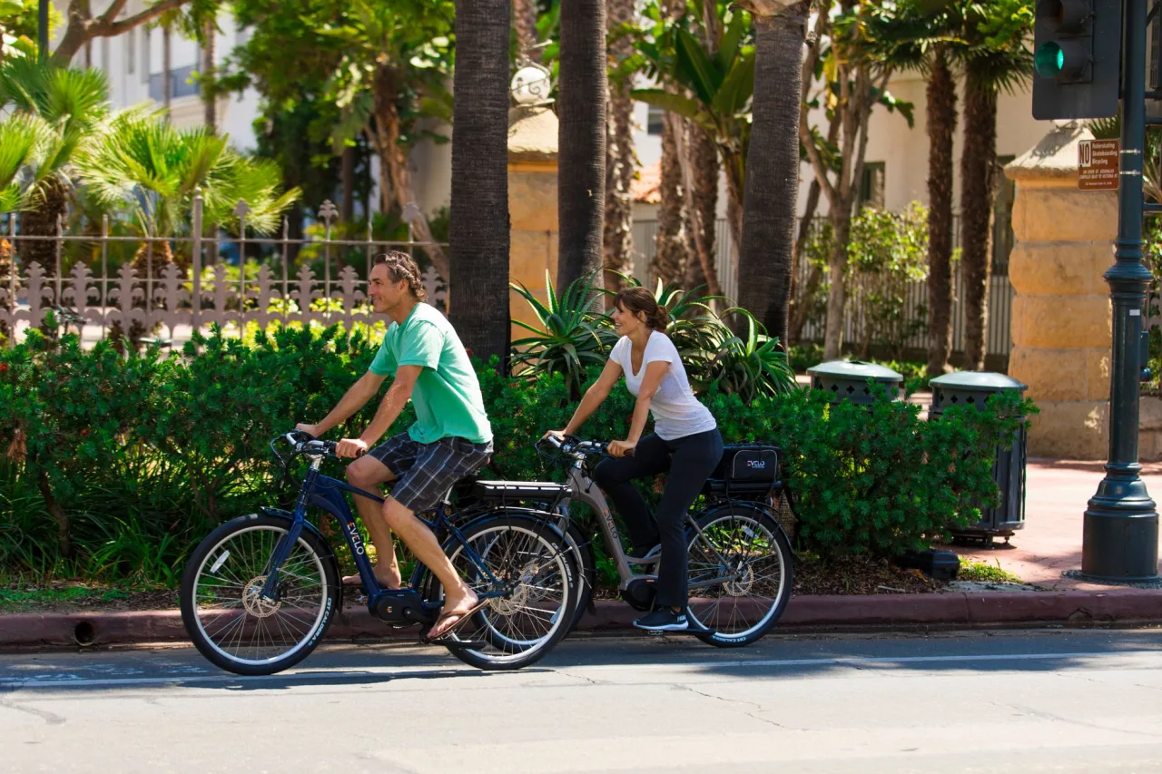 Lectric E-Bike: The Complete Guide