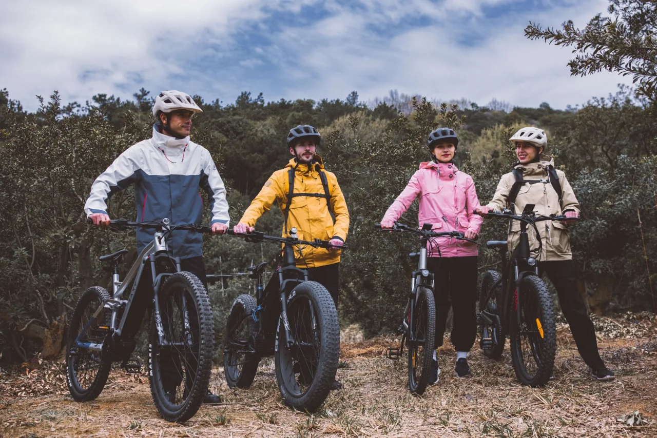 Lectric E-Bike: The Complete Guide