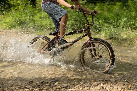 Mongoose Bike