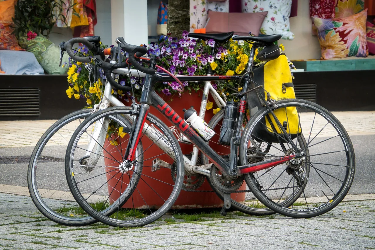 Near by Cycle Shop: Find Trusted Local