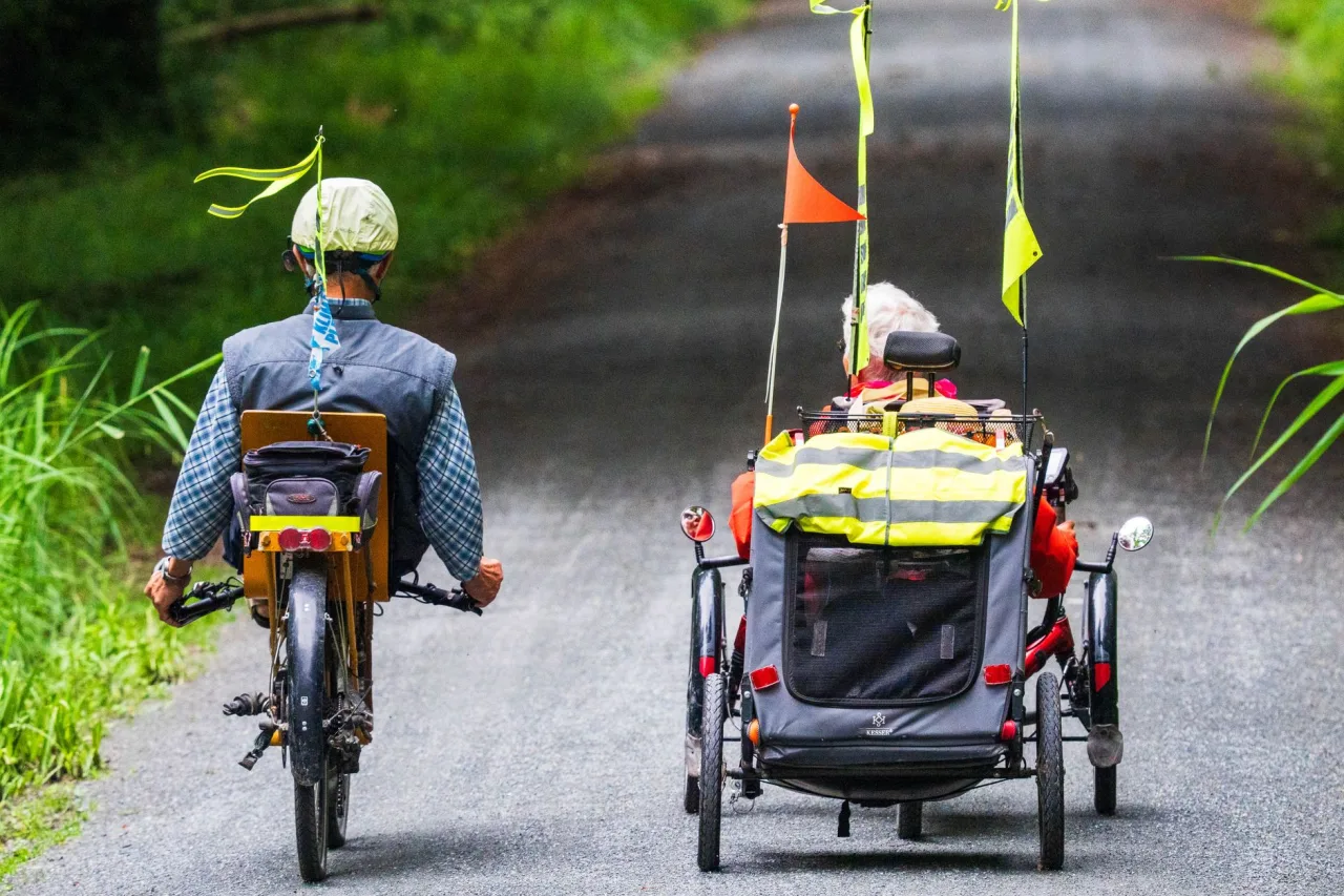 Recumbent Bike: Complete Guide