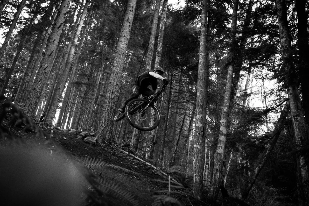 Santa Cruz Bikes: The Complete Guide