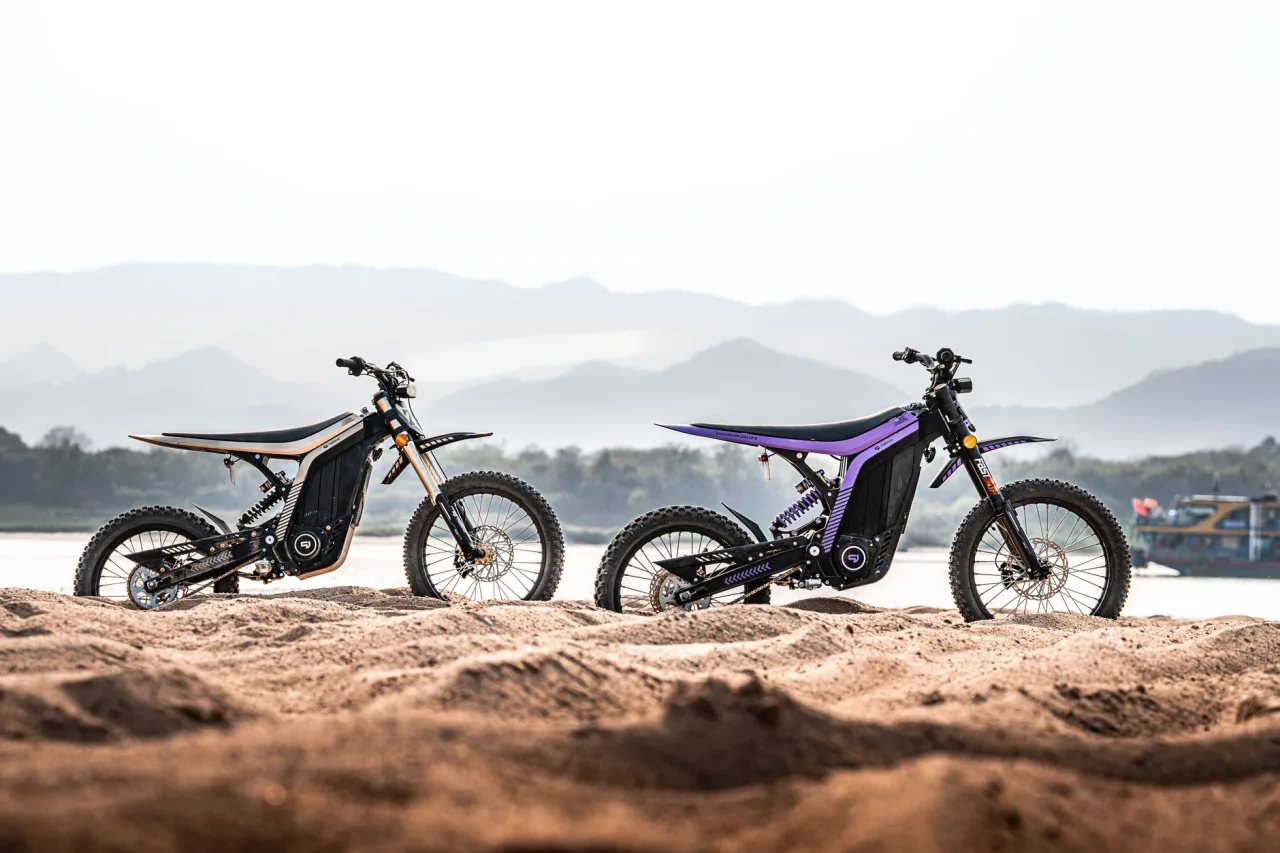 Segway Electric Bike