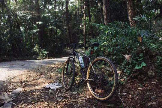 Specialized Rockhopper Review (2026)