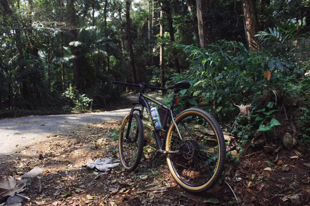 Specialized Rockhopper Review (2026)
