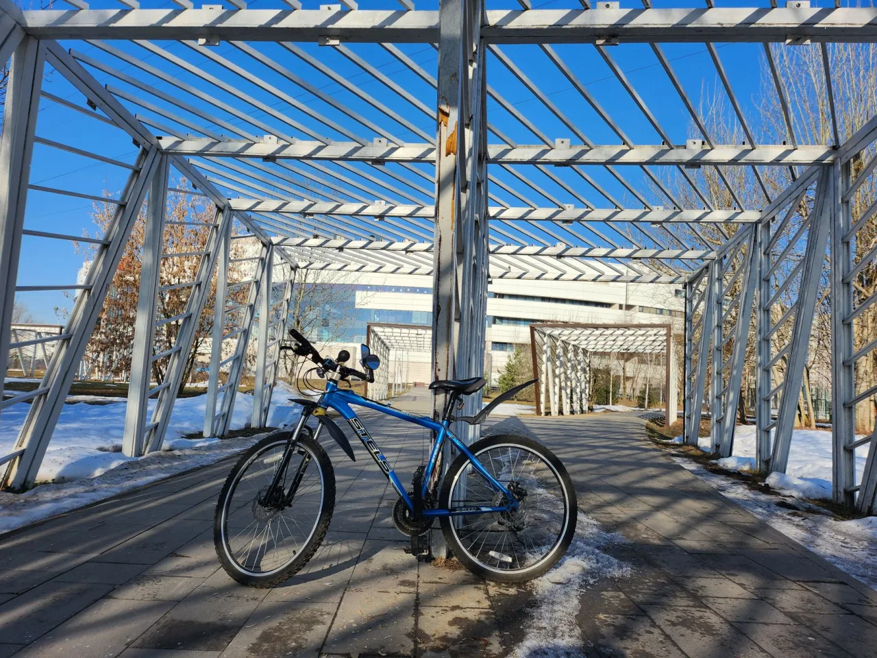 Specialized Rockhopper Review (2026)