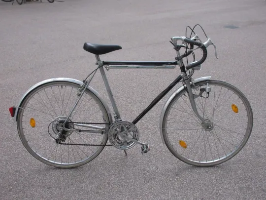 T Rex Bike: The Complete Guide