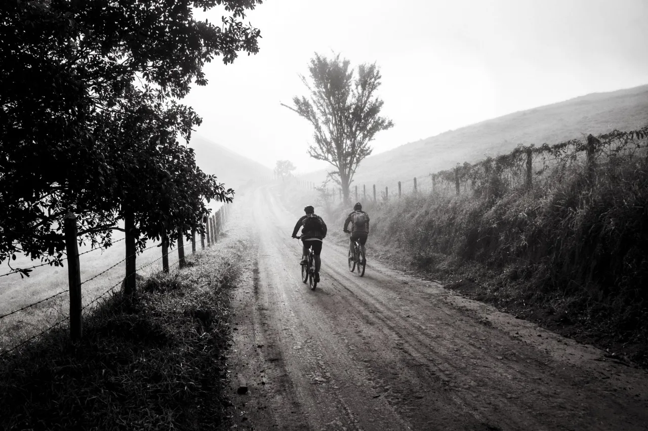 Trek Road Bike: Review and Prices