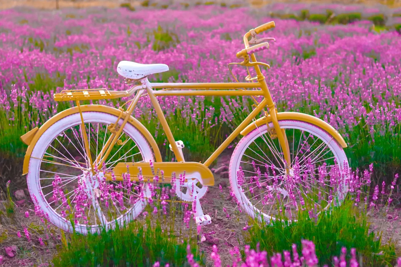Unicorn Bike: The Complete Guide